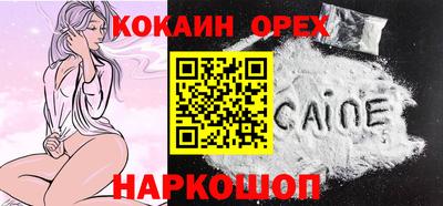 шишки Изобильный
