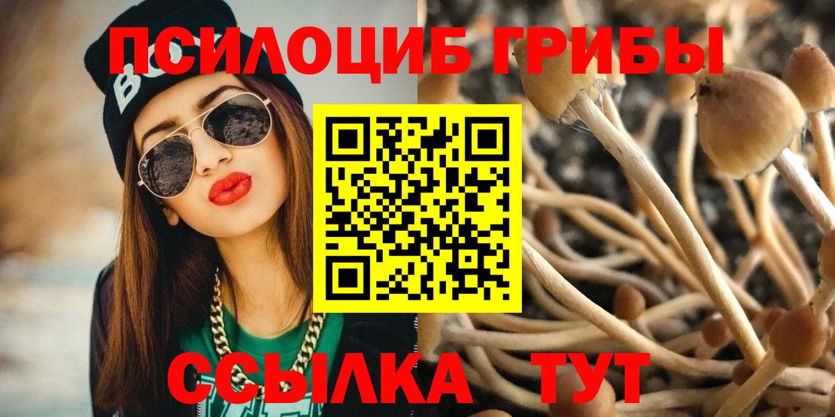 Псилоцибиновые грибы GOLDEN TEACHER Лангепас